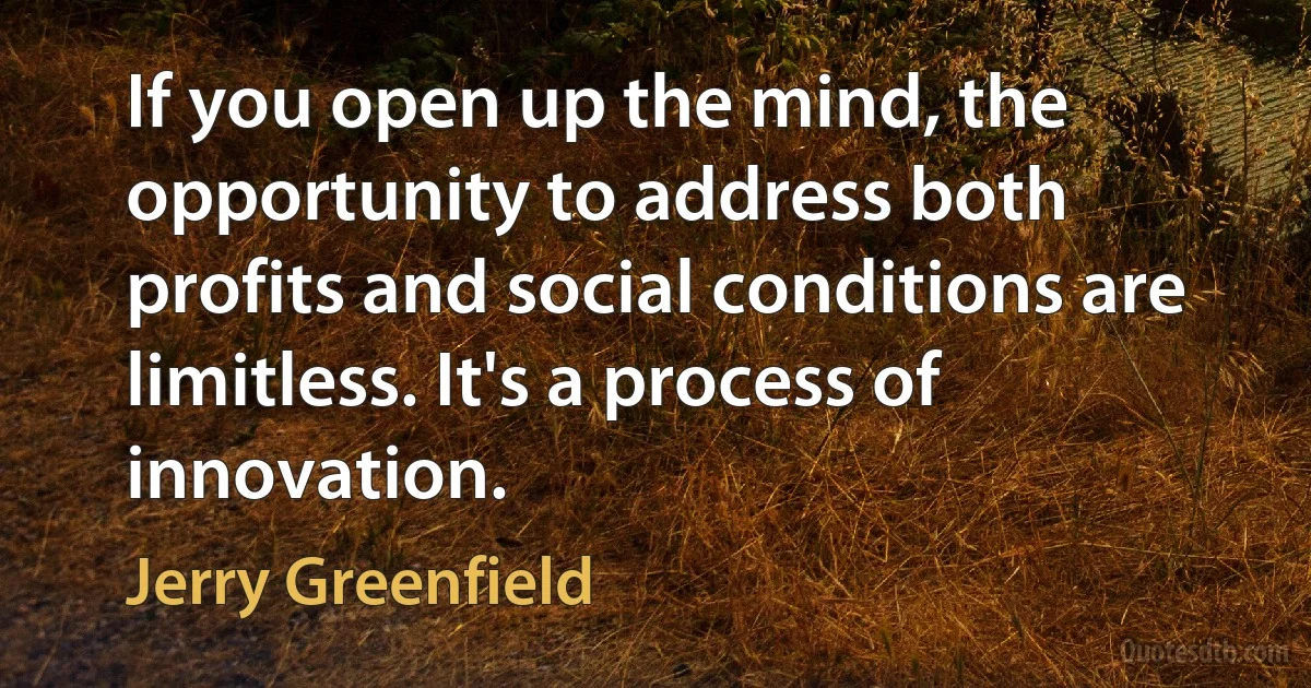 If you open up the mind, the opportunity to address both profits and social conditions are limitless. It's a process of innovation. (Jerry Greenfield)