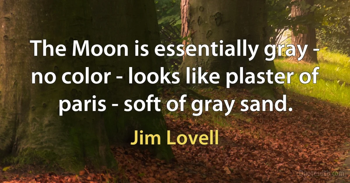 The Moon is essentially gray - no color - looks like plaster of paris - soft of gray sand. (Jim Lovell)