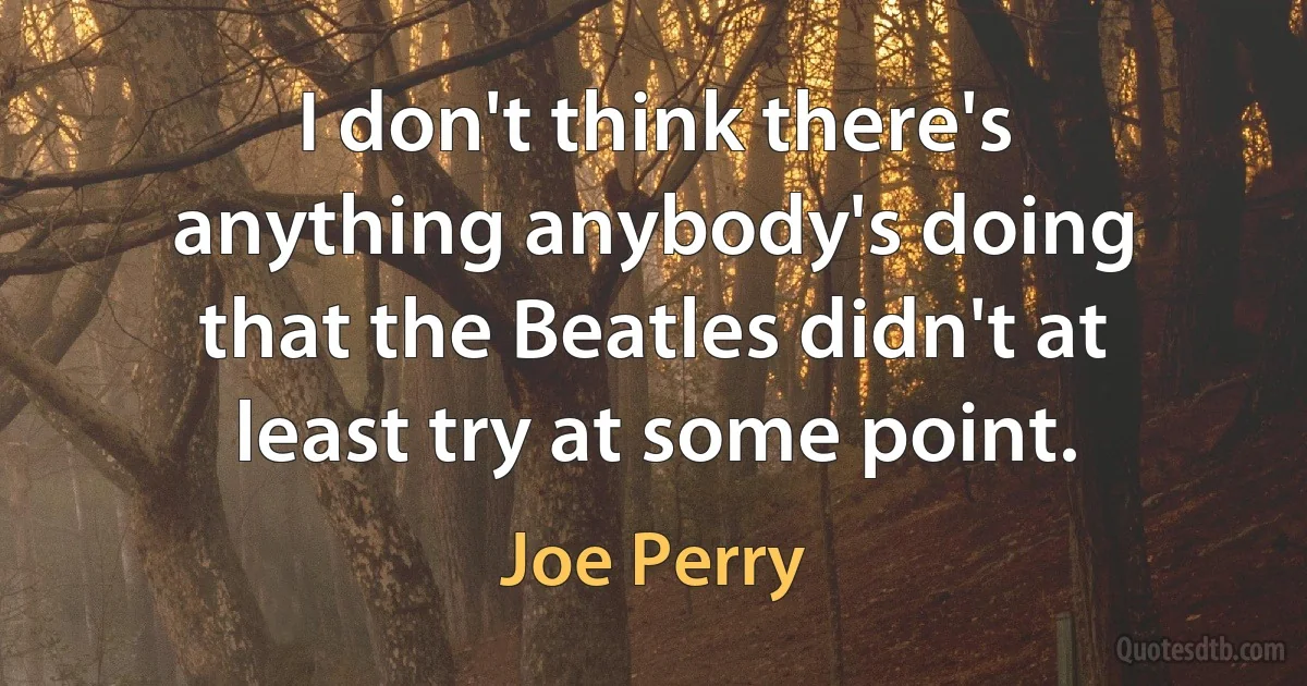 I don't think there's anything anybody's doing that the Beatles didn't at least try at some point. (Joe Perry)