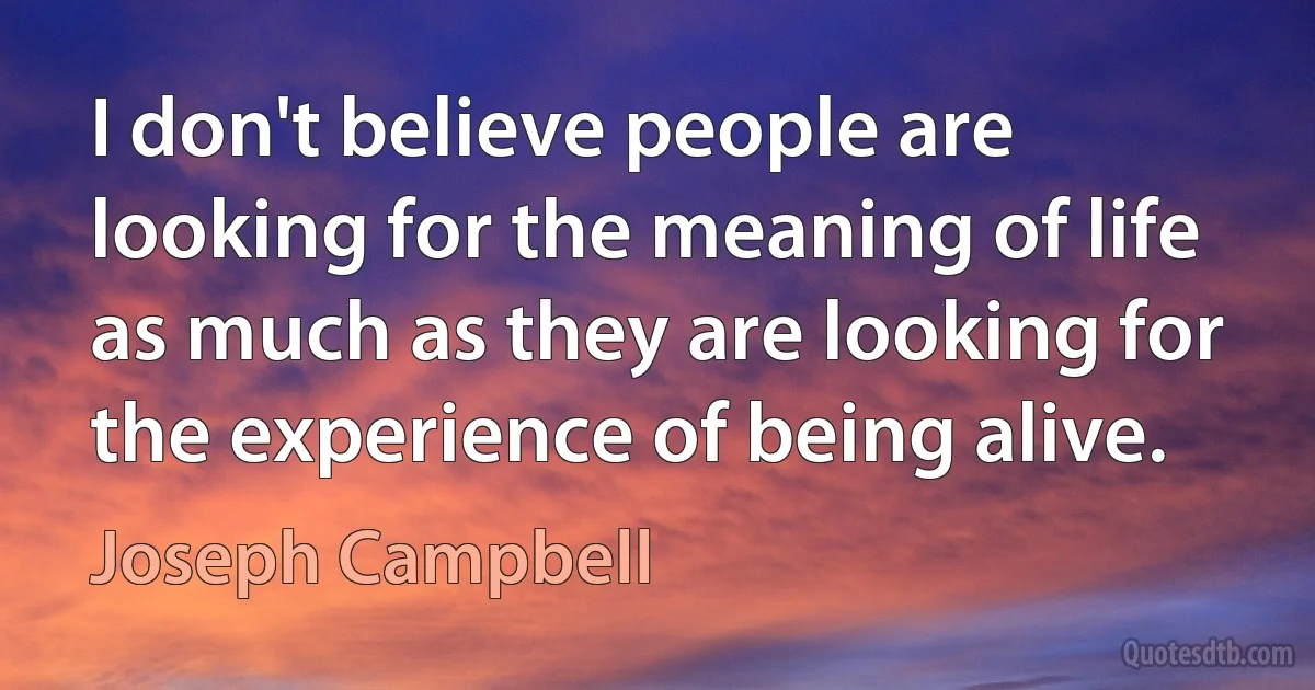 I don't believe people are looking for the meaning of life as much as they are looking for the experience of being alive. (Joseph Campbell)