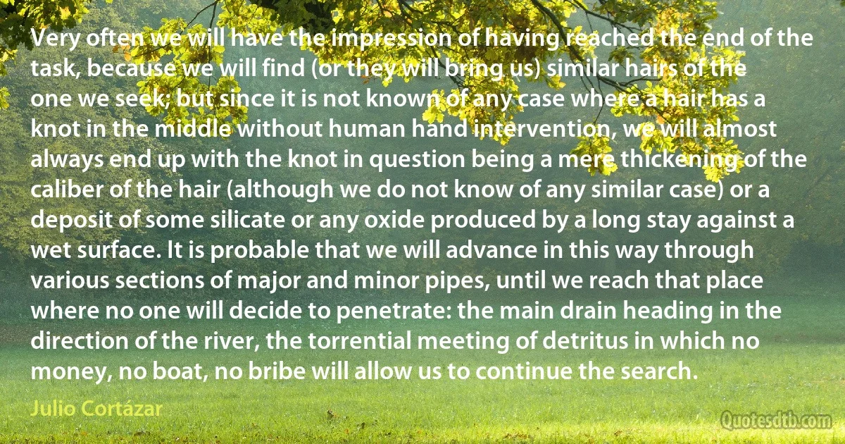 Very often we will have the impression of having reached the end of the task, because we will find (or they will bring us) similar hairs of the one we seek; but since it is not known of any case where a hair has a knot in the middle without human hand intervention, we will almost always end up with the knot in question being a mere thickening of the caliber of the hair (although we do not know of any similar case) or a deposit of some silicate or any oxide produced by a long stay against a wet surface. It is probable that we will advance in this way through various sections of major and minor pipes, until we reach that place where no one will decide to penetrate: the main drain heading in the direction of the river, the torrential meeting of detritus in which no money, no boat, no bribe will allow us to continue the search. (Julio Cortázar)