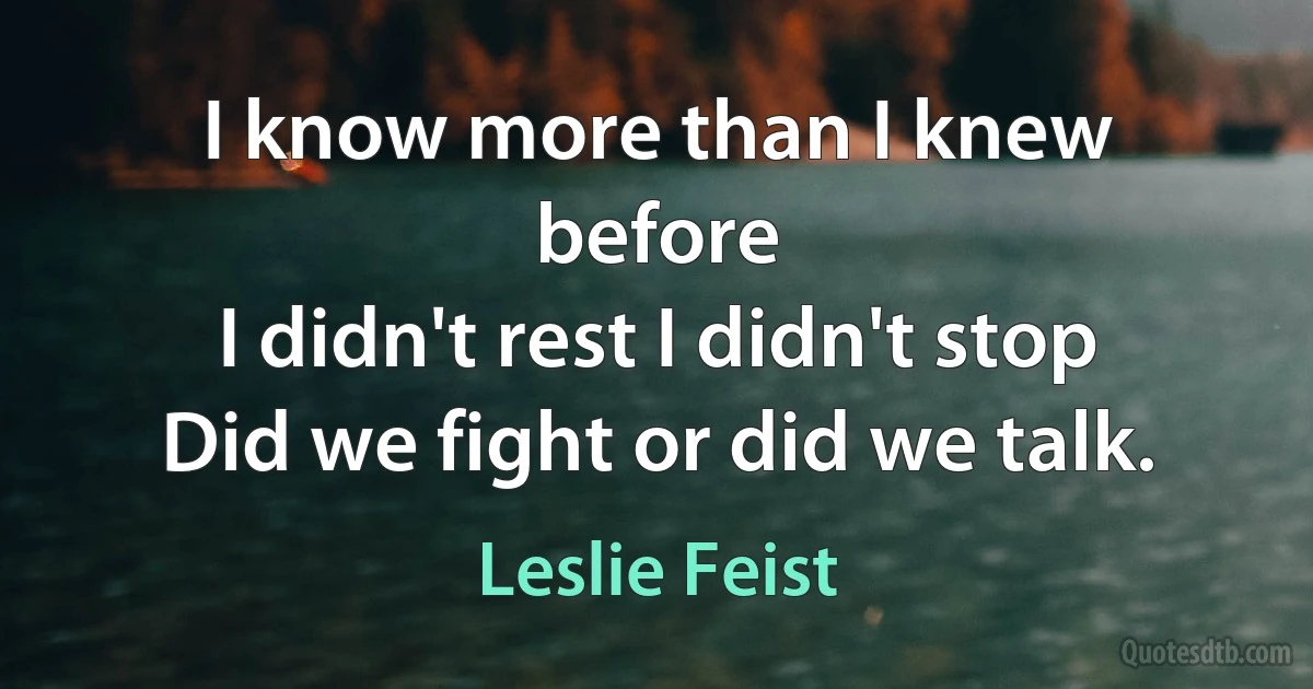 I know more than I knew before
I didn't rest I didn't stop
Did we fight or did we talk. (Leslie Feist)