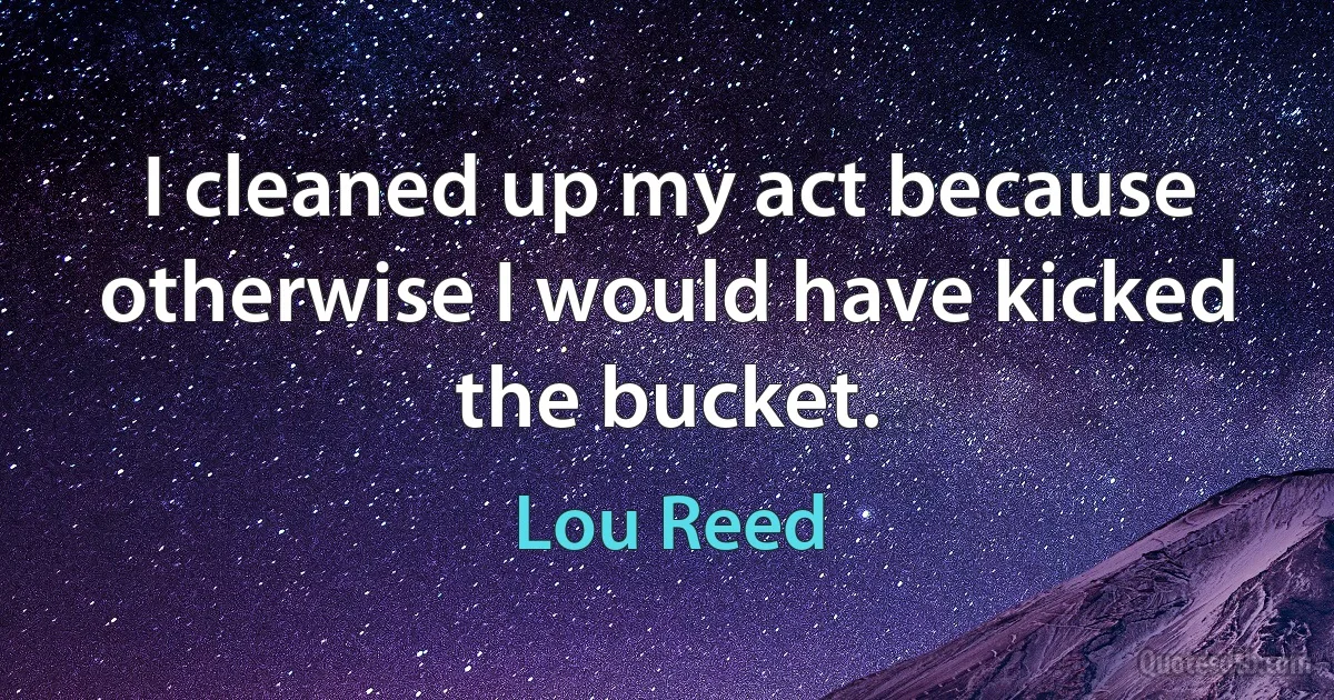 I cleaned up my act because otherwise I would have kicked the bucket. (Lou Reed)