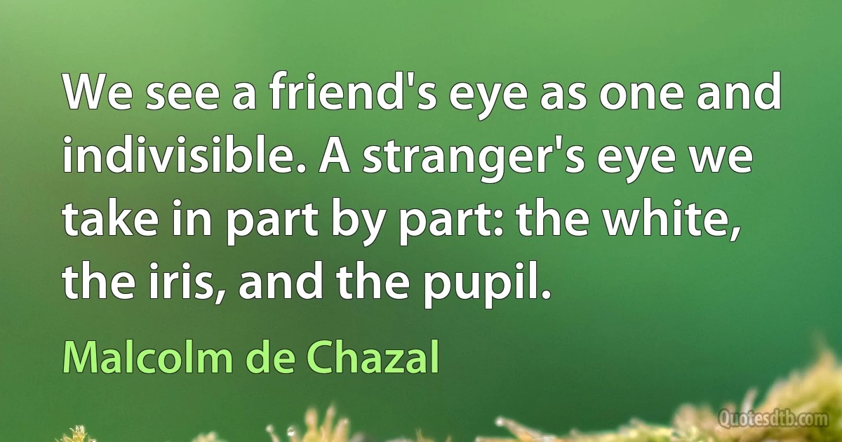 We see a friend's eye as one and indivisible. A stranger's eye we take in part by part: the white, the iris, and the pupil. (Malcolm de Chazal)