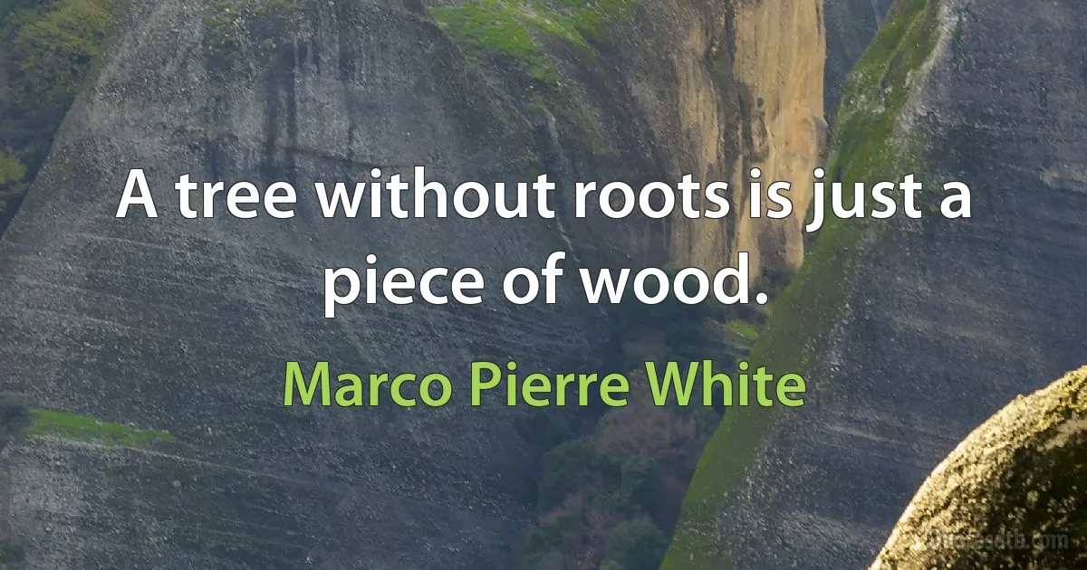 A tree without roots is just a piece of wood. (Marco Pierre White)