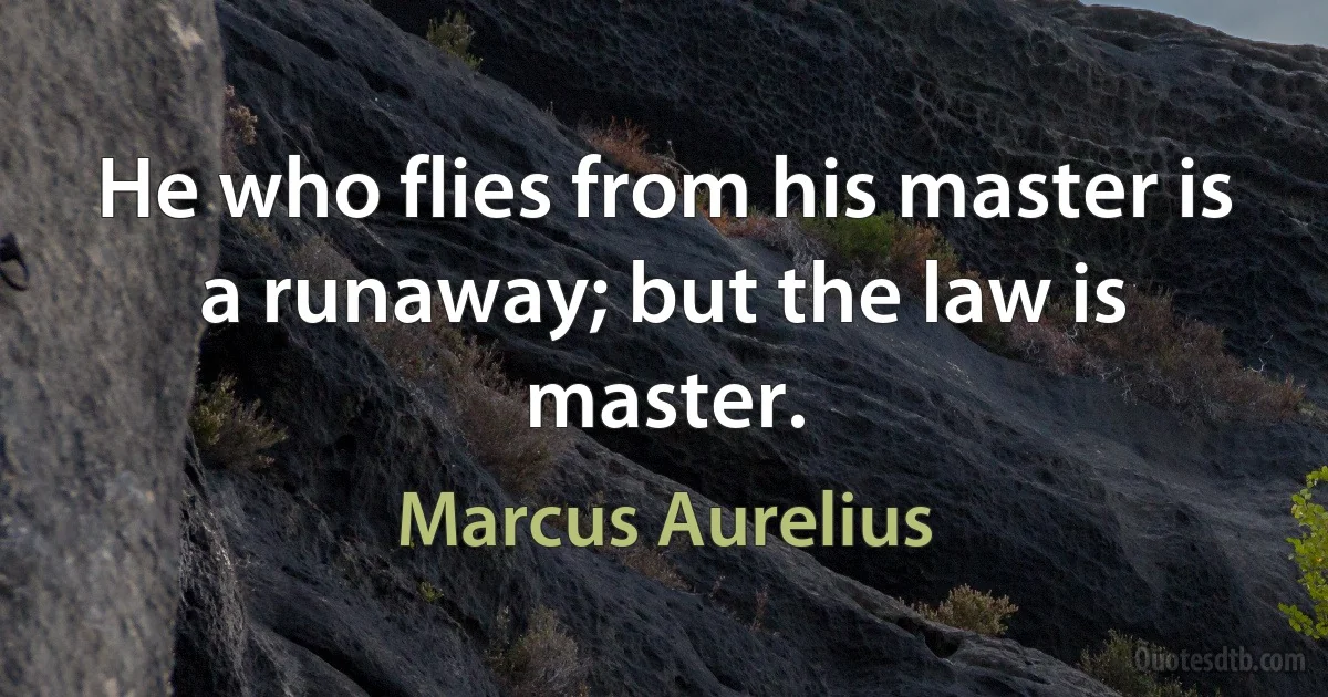 He who flies from his master is a runaway; but the law is master. (Marcus Aurelius)