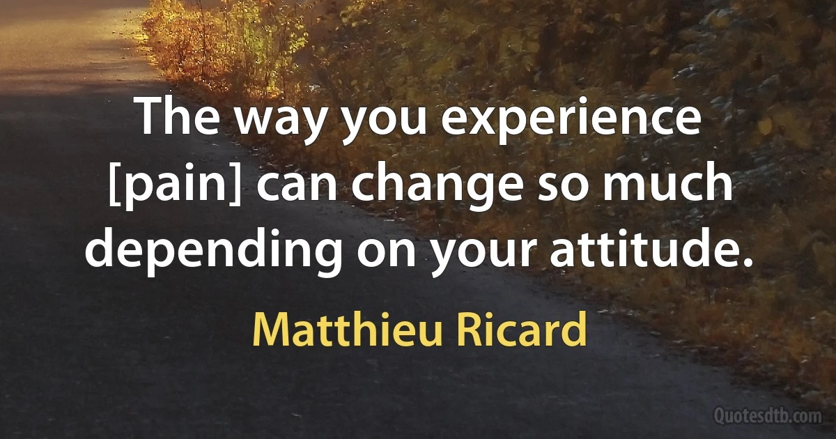 The way you experience [pain] can change so much depending on your attitude. (Matthieu Ricard)