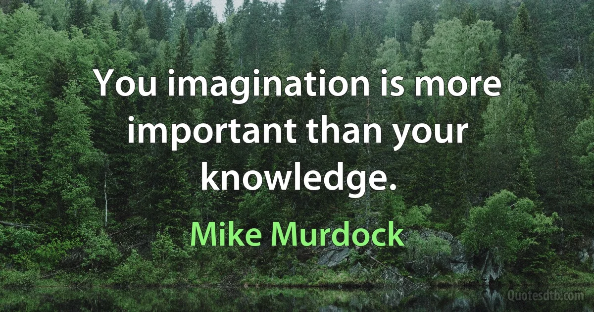 You imagination is more important than your knowledge. (Mike Murdock)