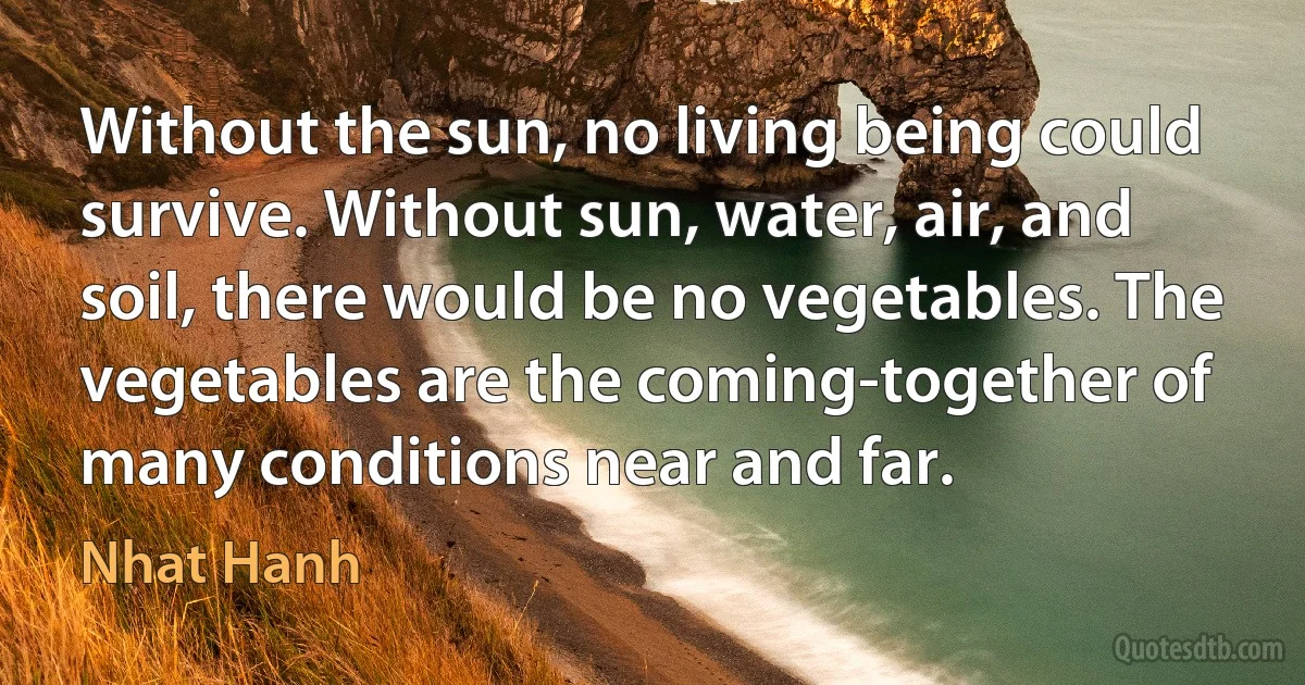 Without the sun, no living being could survive. Without sun, water, air, and soil, there would be no vegetables. The vegetables are the coming-together of many conditions near and far. (Nhat Hanh)