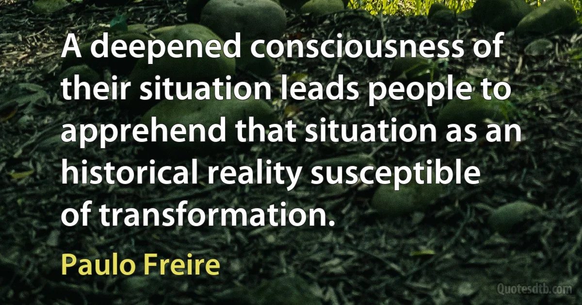 A deepened consciousness of their situation leads people to apprehend that situation as an historical reality susceptible of transformation. (Paulo Freire)