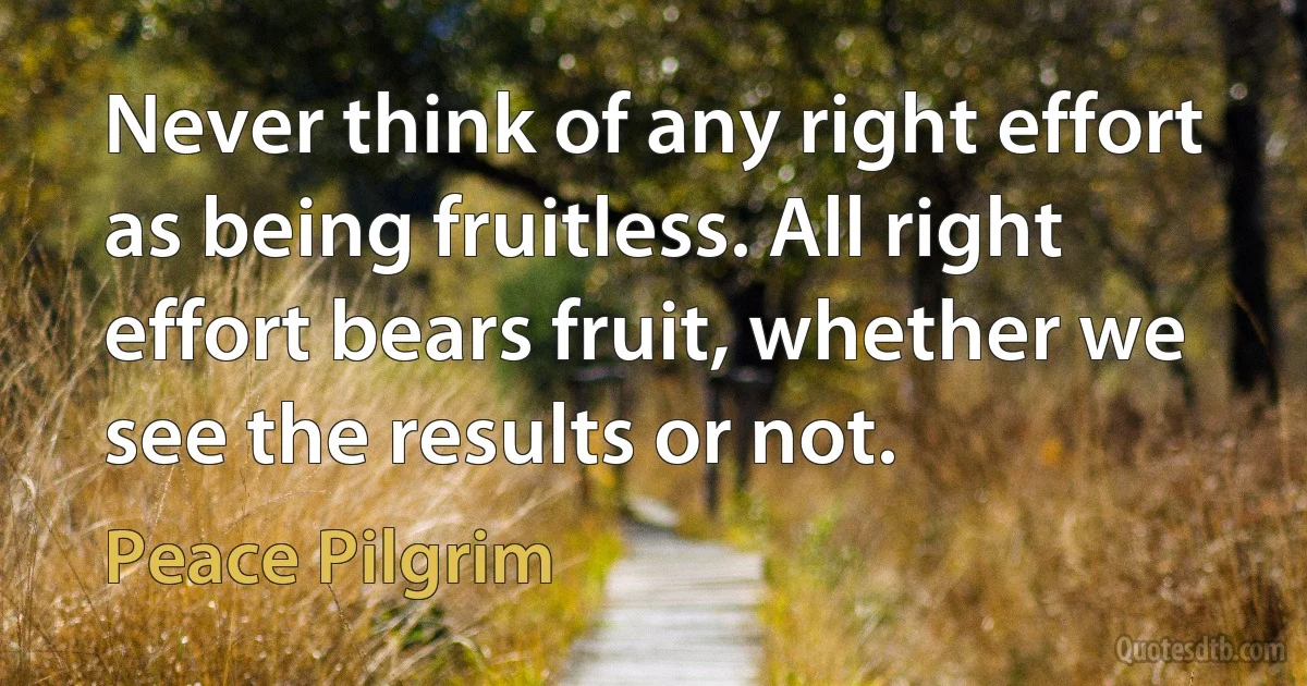 Never think of any right effort as being fruitless. All right effort bears fruit, whether we see the results or not. (Peace Pilgrim)