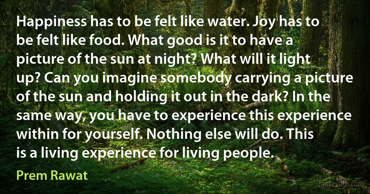 Happiness has to be felt like water. Joy has to be felt like food. What good is it to have a picture of the sun at night? What will it light up? Can you imagine somebody carrying a picture of the sun and holding it out in the dark? In the same way, you have to experience this experience within for yourself. Nothing else will do. This is a living experience for living people. (Prem Rawat)