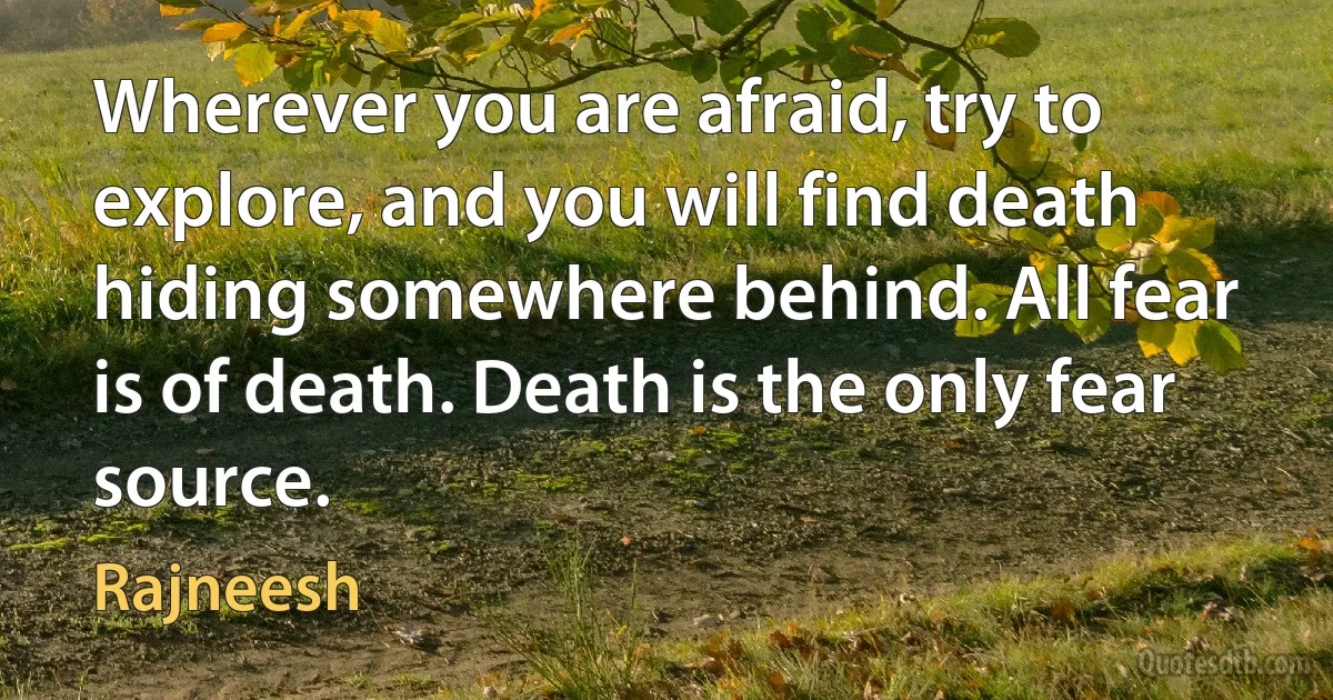 Wherever you are afraid, try to explore, and you will find death hiding somewhere behind. All fear is of death. Death is the only fear source. (Rajneesh)