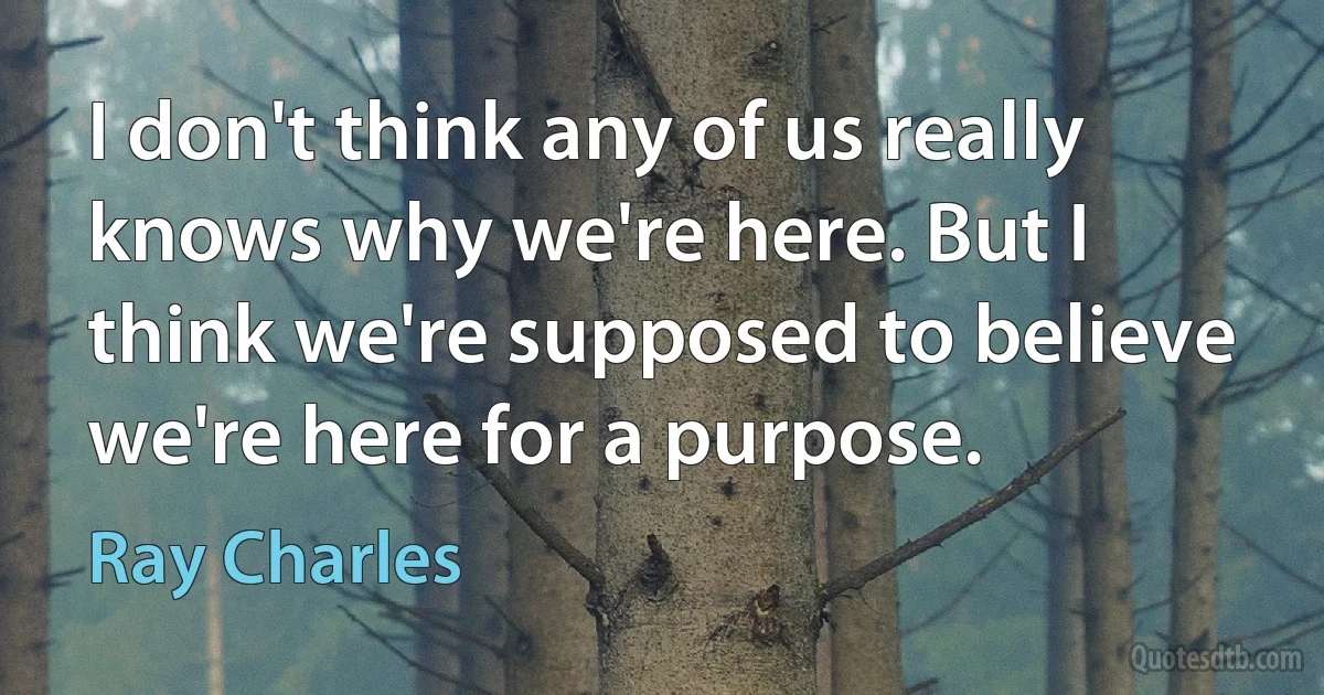 I don't think any of us really knows why we're here. But I think we're supposed to believe we're here for a purpose. (Ray Charles)