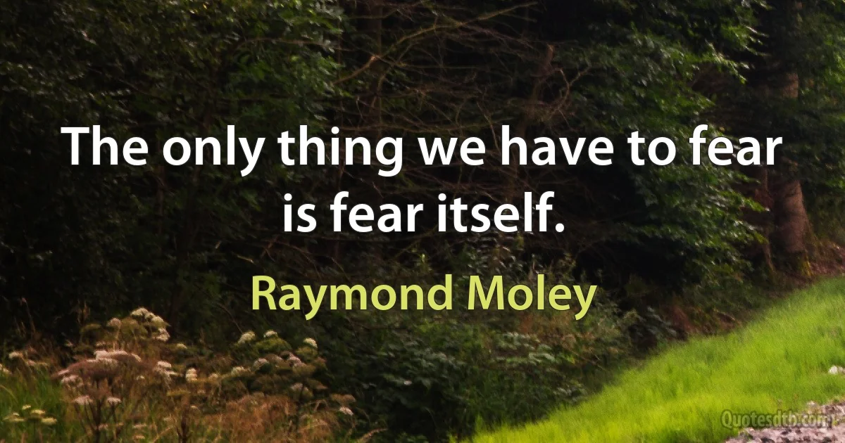 The only thing we have to fear is fear itself. (Raymond Moley)