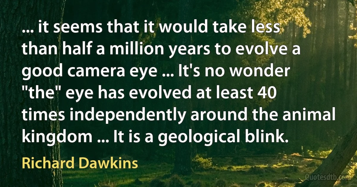 ... it seems that it would take less than half a million years to evolve a good camera eye ... It's no wonder "the" eye has evolved at least 40 times independently around the animal kingdom ... It is a geological blink. (Richard Dawkins)