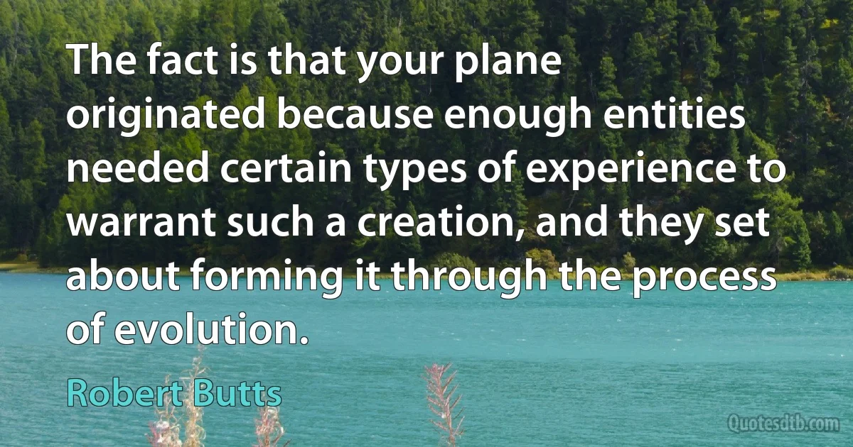 The fact is that your plane originated because enough entities needed certain types of experience to warrant such a creation, and they set about forming it through the process of evolution. (Robert Butts)