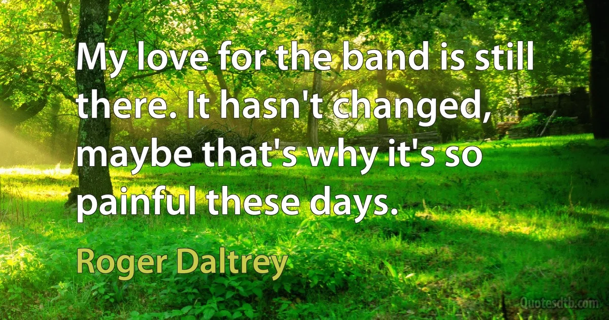 My love for the band is still there. It hasn't changed, maybe that's why it's so painful these days. (Roger Daltrey)