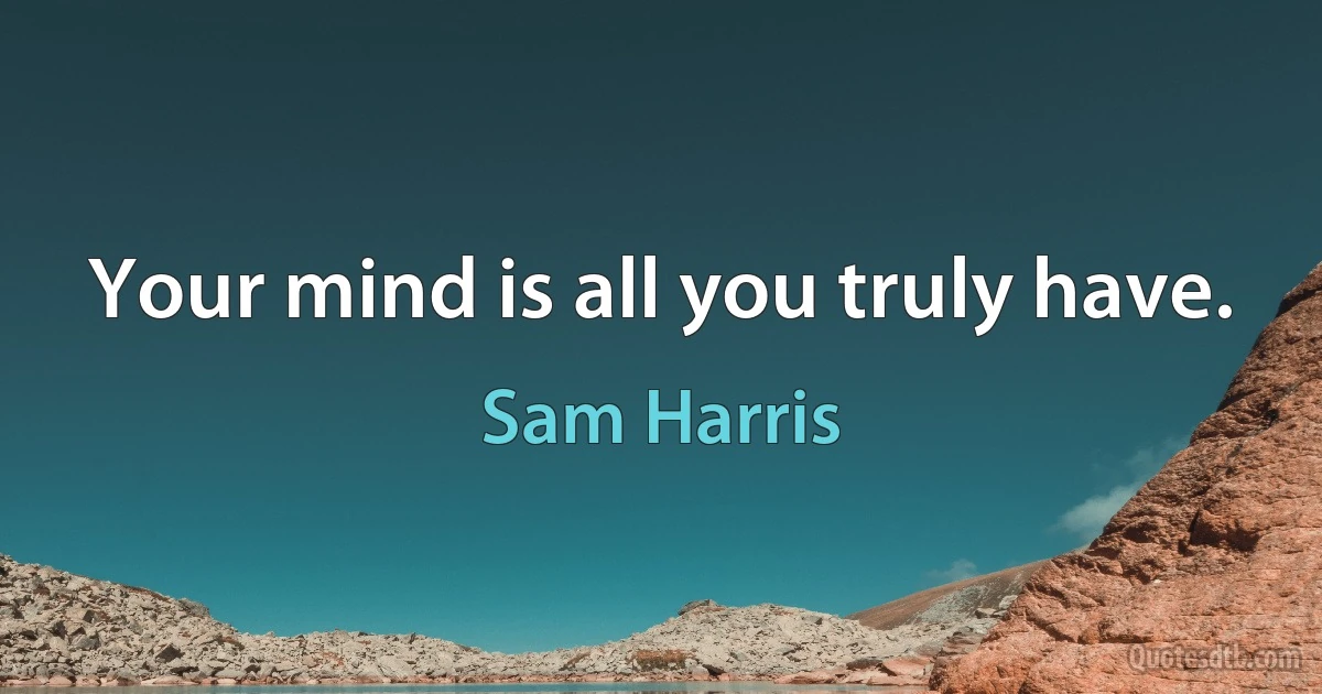 Your mind is all you truly have. (Sam Harris)