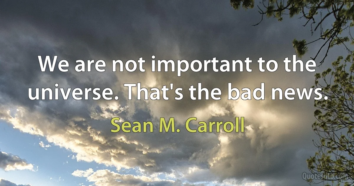 We are not important to the universe. That's the bad news. (Sean M. Carroll)