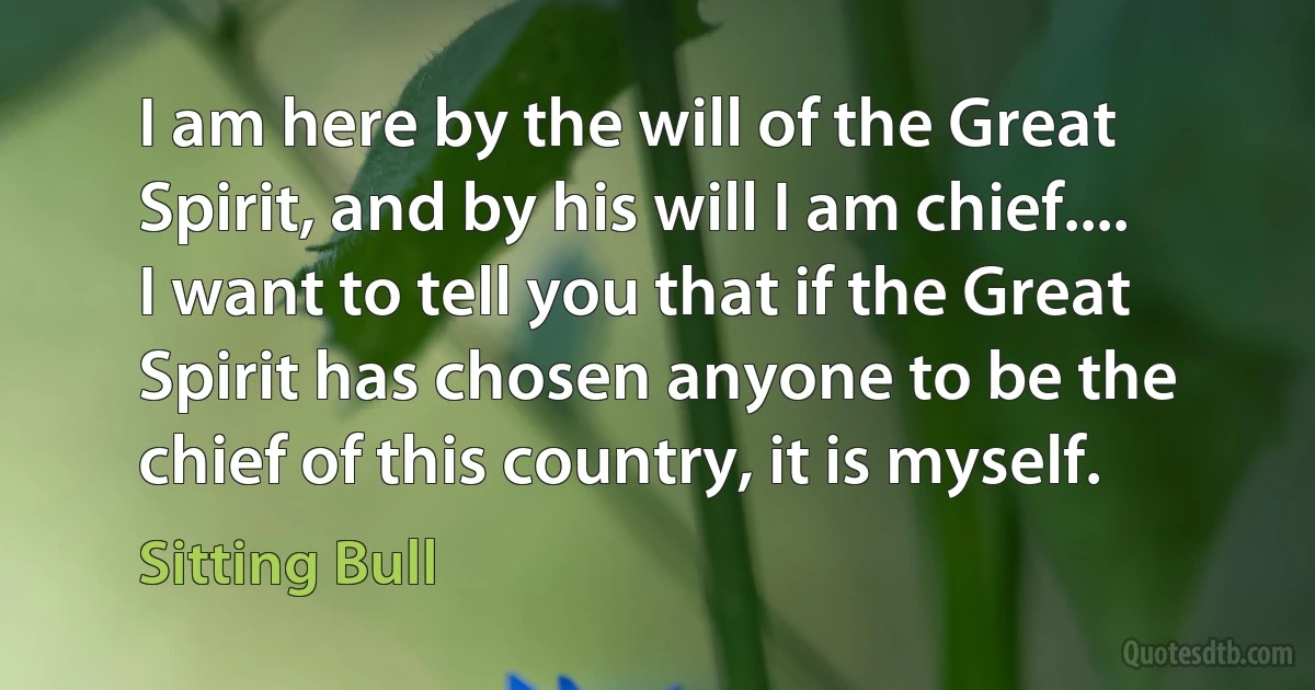 I am here by the will of the Great Spirit, and by his will I am chief.... I want to tell you that if the Great Spirit has chosen anyone to be the chief of this country, it is myself. (Sitting Bull)