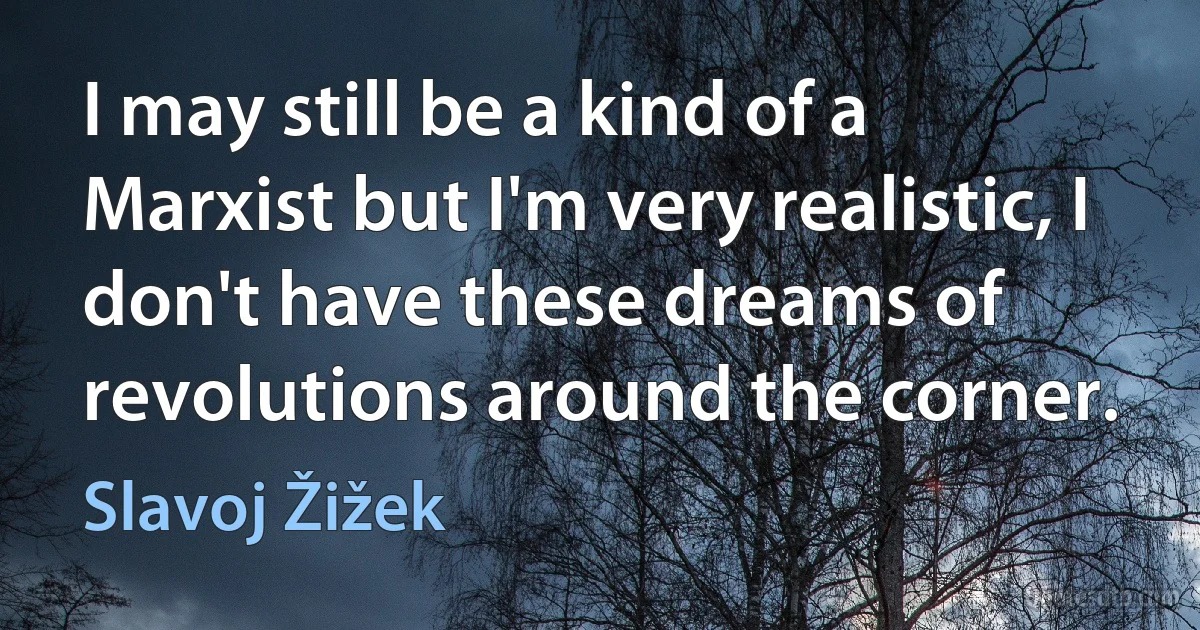 I may still be a kind of a Marxist but I'm very realistic, I don't have these dreams of revolutions around the corner. (Slavoj Žižek)