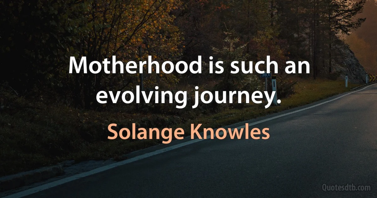 Motherhood is such an evolving journey. (Solange Knowles)