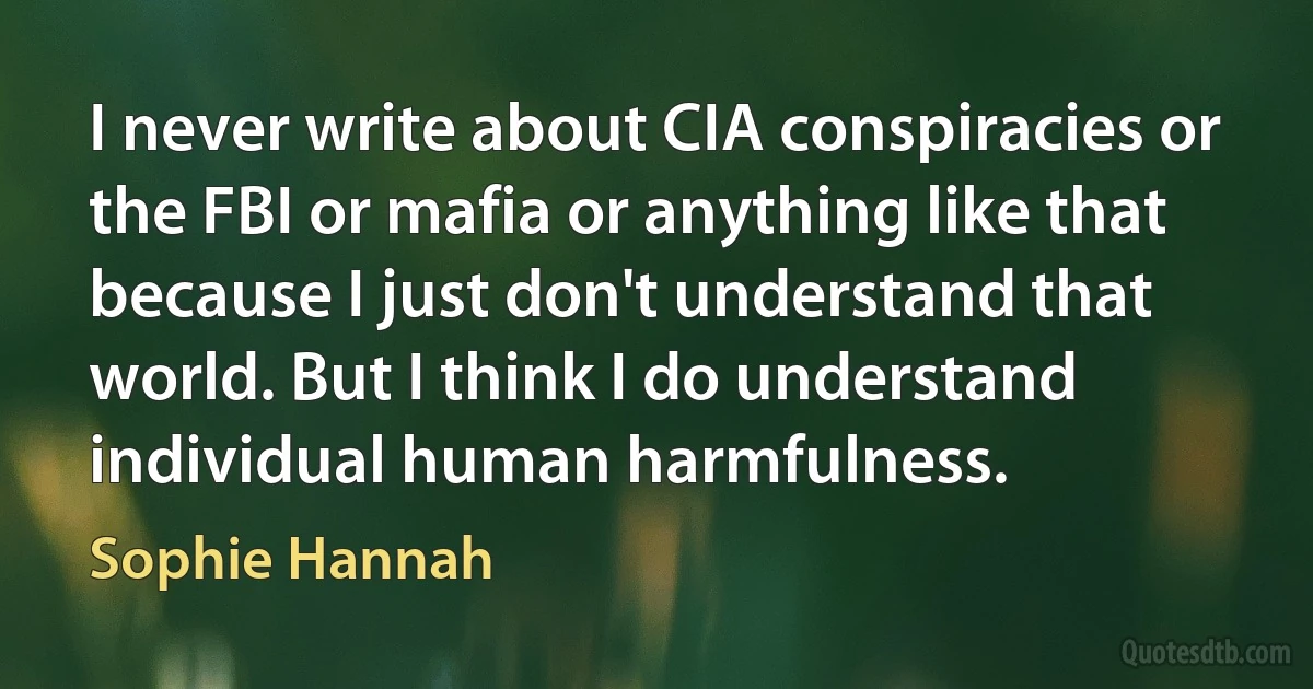 I never write about CIA conspiracies or the FBI or mafia or anything like that because I just don't understand that world. But I think I do understand individual human harmfulness. (Sophie Hannah)