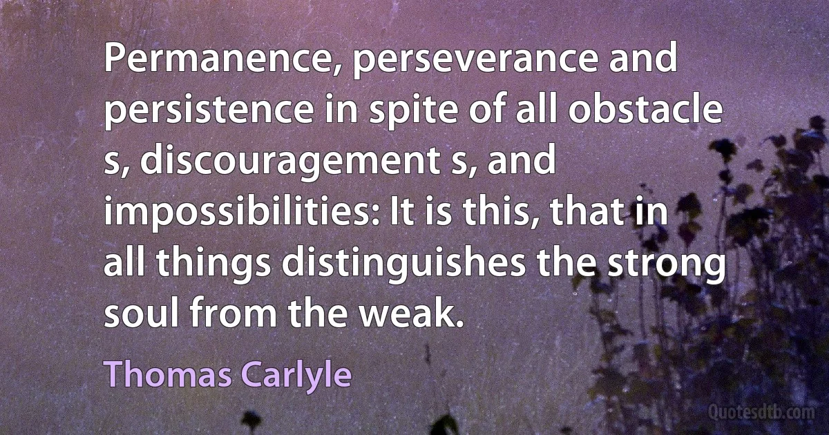 Permanence, perseverance and persistence in spite of all obstacle s, discouragement s, and impossibilities: It is this, that in all things distinguishes the strong soul from the weak. (Thomas Carlyle)