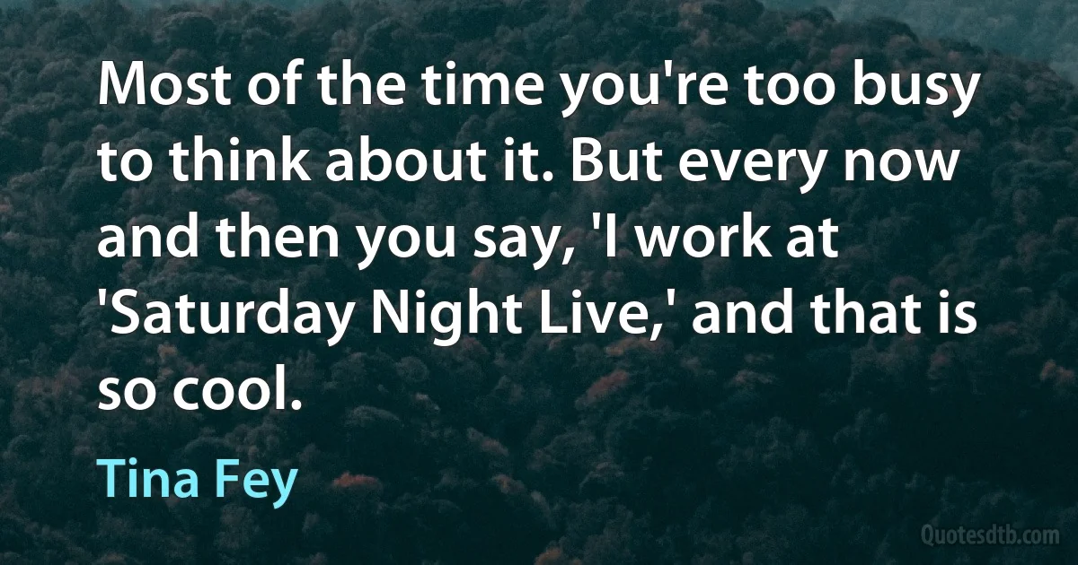 Most of the time you're too busy to think about it. But every now and then you say, 'I work at 'Saturday Night Live,' and that is so cool. (Tina Fey)