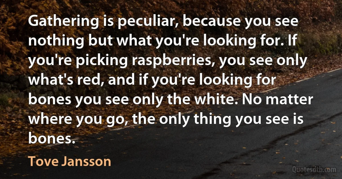 Gathering is peculiar, because you see nothing but what you're looking for. If you're picking raspberries, you see only what's red, and if you're looking for bones you see only the white. No matter where you go, the only thing you see is bones. (Tove Jansson)