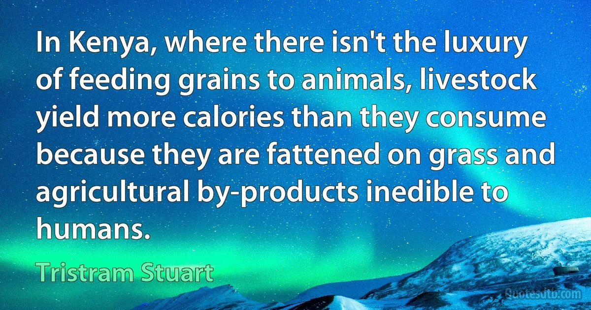 In Kenya, where there isn't the luxury of feeding grains to animals, livestock yield more calories than they consume because they are fattened on grass and agricultural by-products inedible to humans. (Tristram Stuart)