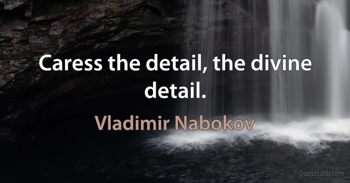 Caress the detail, the divine detail. (Vladimir Nabokov)