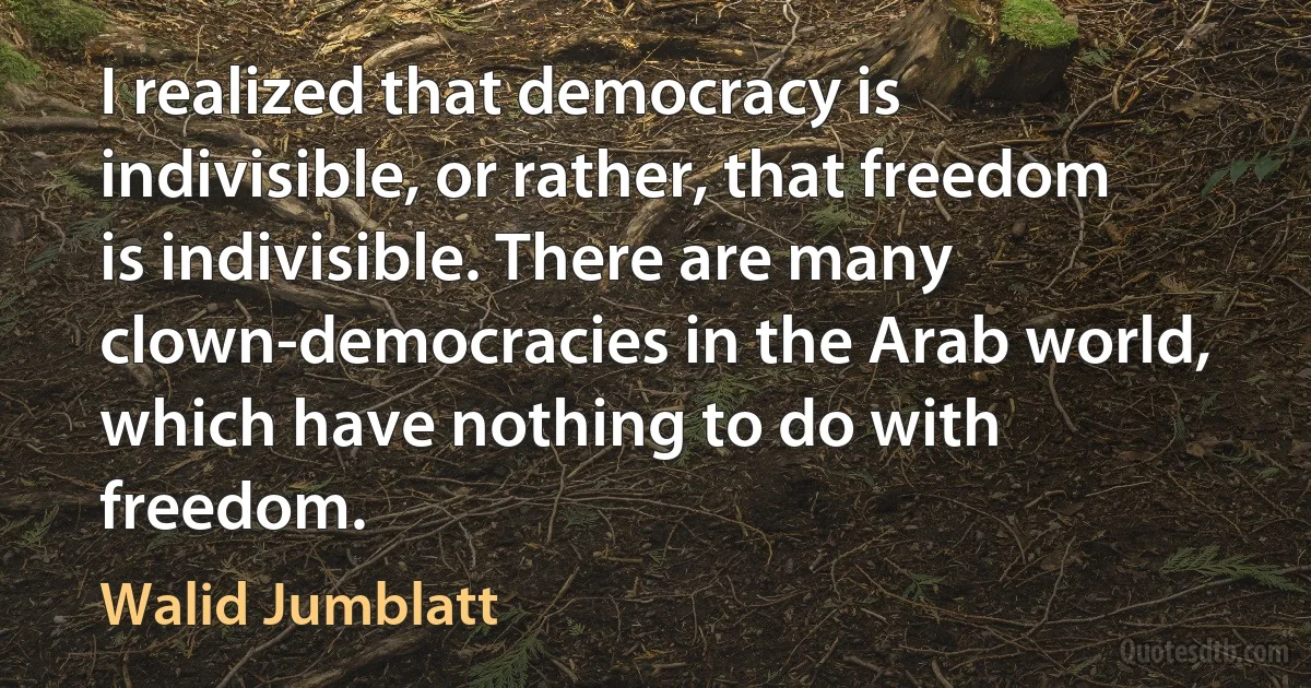 I realized that democracy is indivisible, or rather, that freedom is indivisible. There are many clown-democracies in the Arab world, which have nothing to do with freedom. (Walid Jumblatt)