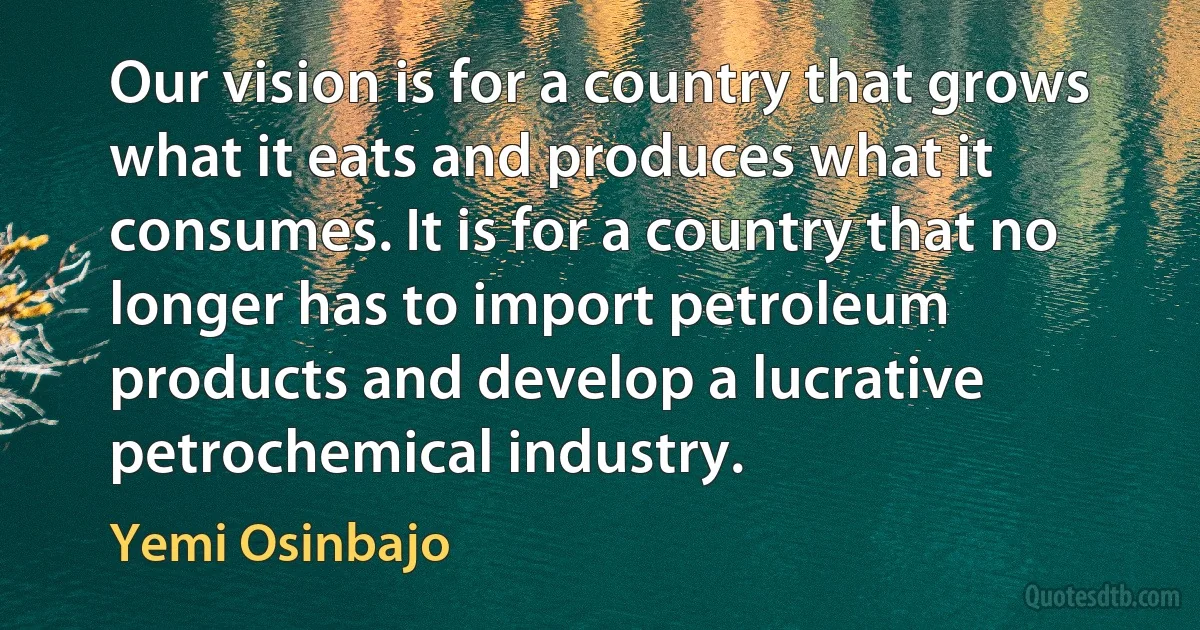 Our vision is for a country that grows what it eats and produces what it consumes. It is for a country that no longer has to import petroleum products and develop a lucrative petrochemical industry. (Yemi Osinbajo)