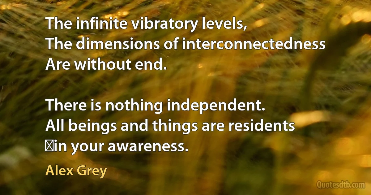 The infinite vibratory levels,
The dimensions of interconnectedness
Are without end.

There is nothing independent.
All beings and things are residents
 in your awareness. (Alex Grey)