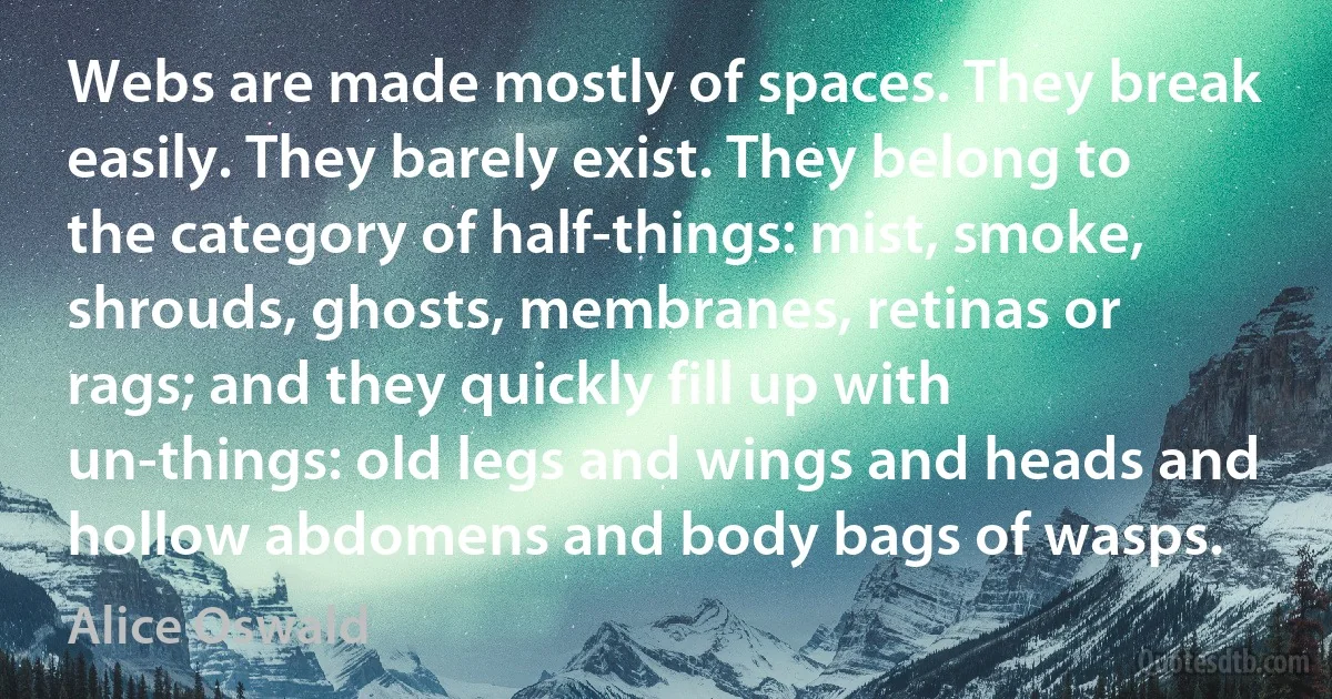 Webs are made mostly of spaces. They break easily. They barely exist. They belong to the category of half-things: mist, smoke, shrouds, ghosts, membranes, retinas or rags; and they quickly fill up with un-things: old legs and wings and heads and hollow abdomens and body bags of wasps. (Alice Oswald)