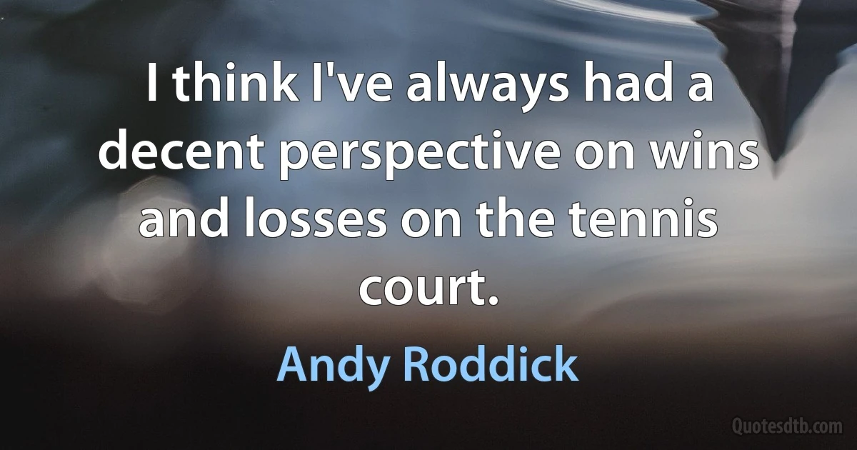 I think I've always had a decent perspective on wins and losses on the tennis court. (Andy Roddick)