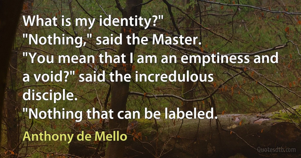 What is my identity?"
"Nothing," said the Master.
"You mean that I am an emptiness and a void?" said the incredulous disciple.
"Nothing that can be labeled. (Anthony de Mello)