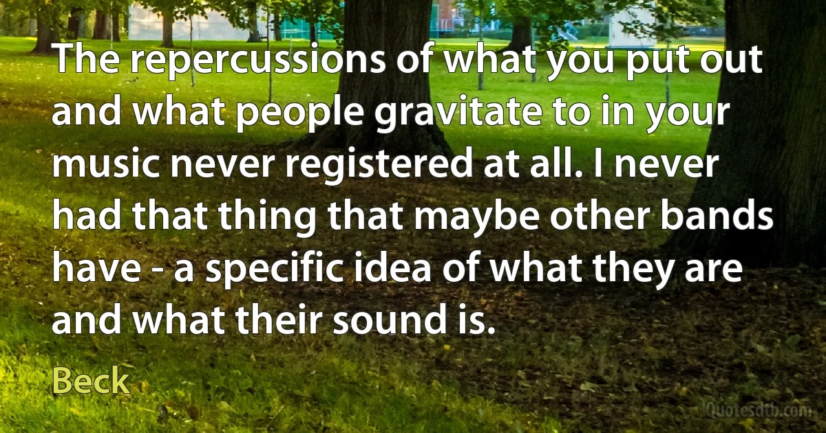 The repercussions of what you put out and what people gravitate to in your music never registered at all. I never had that thing that maybe other bands have - a specific idea of what they are and what their sound is. (Beck)