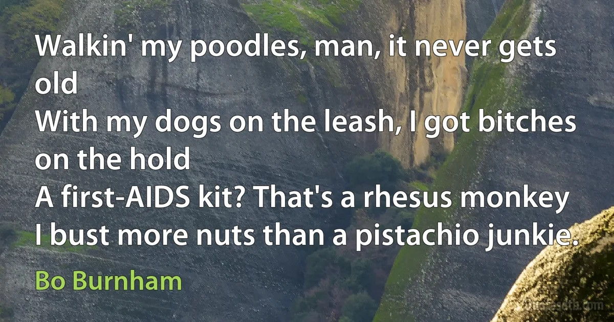 Walkin' my poodles, man, it never gets old
With my dogs on the leash, I got bitches on the hold
A first-AIDS kit? That's a rhesus monkey
I bust more nuts than a pistachio junkie. (Bo Burnham)