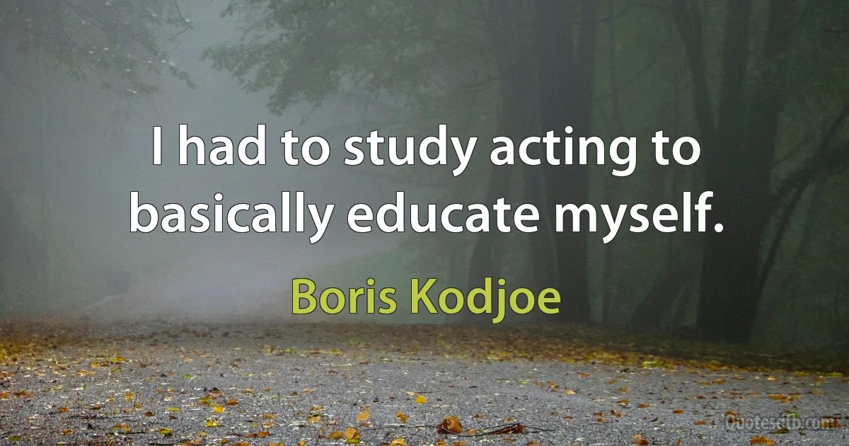 I had to study acting to basically educate myself. (Boris Kodjoe)