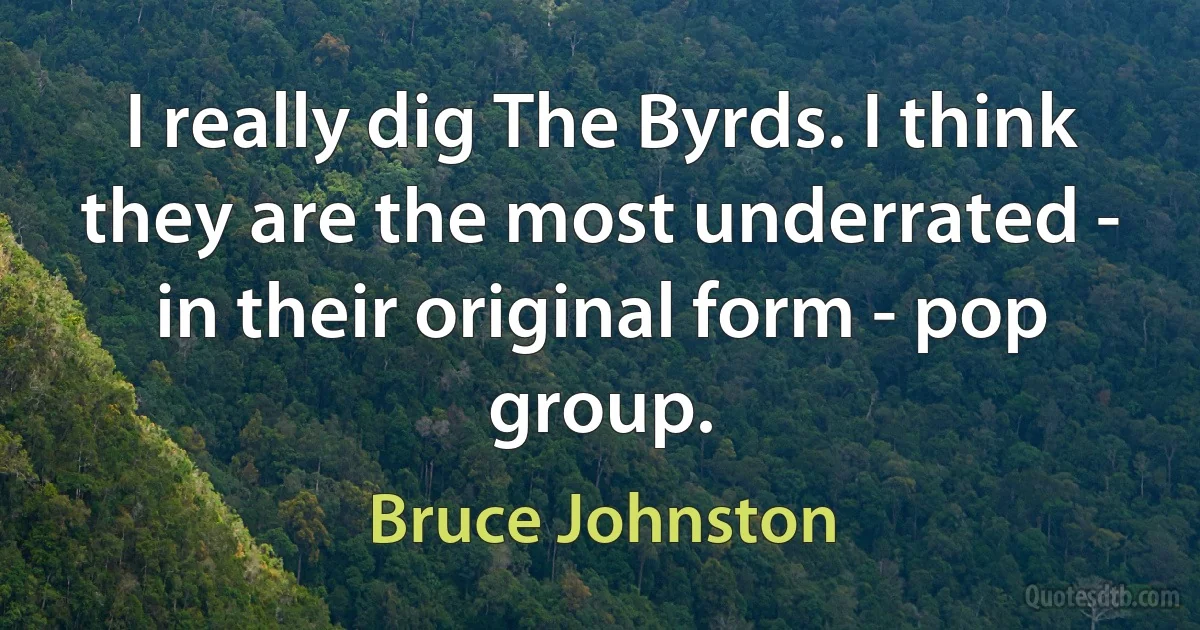 I really dig The Byrds. I think they are the most underrated - in their original form - pop group. (Bruce Johnston)