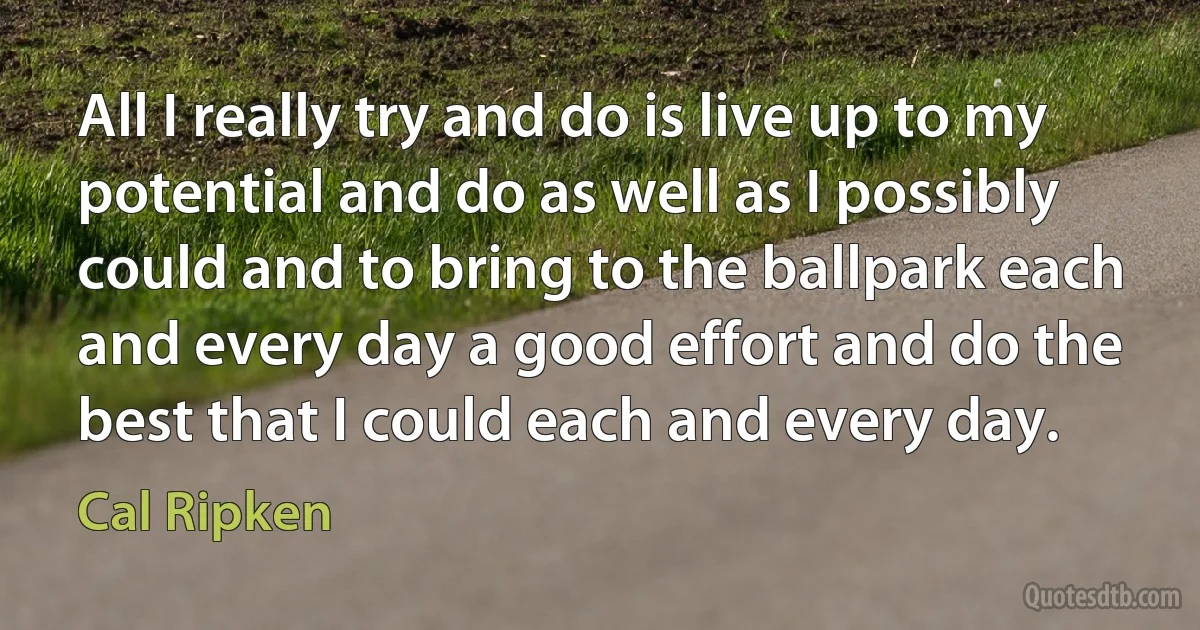 All I really try and do is live up to my potential and do as well as I possibly could and to bring to the ballpark each and every day a good effort and do the best that I could each and every day. (Cal Ripken)