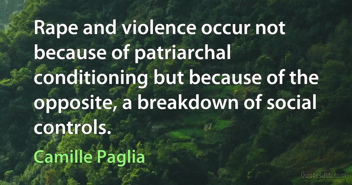 Rape and violence occur not because of patriarchal conditioning but because of the opposite, a breakdown of social controls. (Camille Paglia)