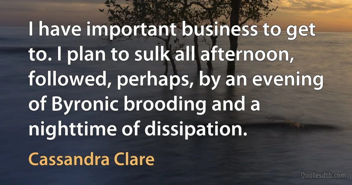 I have important business to get to. I plan to sulk all afternoon, followed, perhaps, by an evening of Byronic brooding and a nighttime of dissipation. (Cassandra Clare)