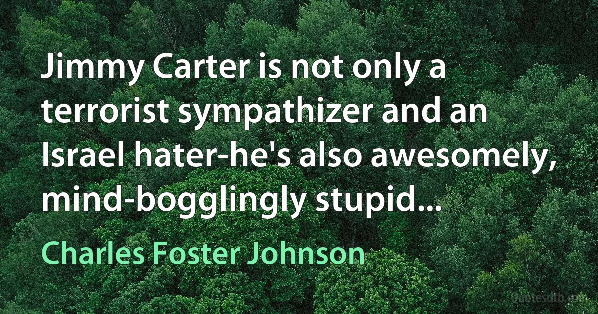 Jimmy Carter is not only a terrorist sympathizer and an Israel hater-he's also awesomely, mind-bogglingly stupid... (Charles Foster Johnson)