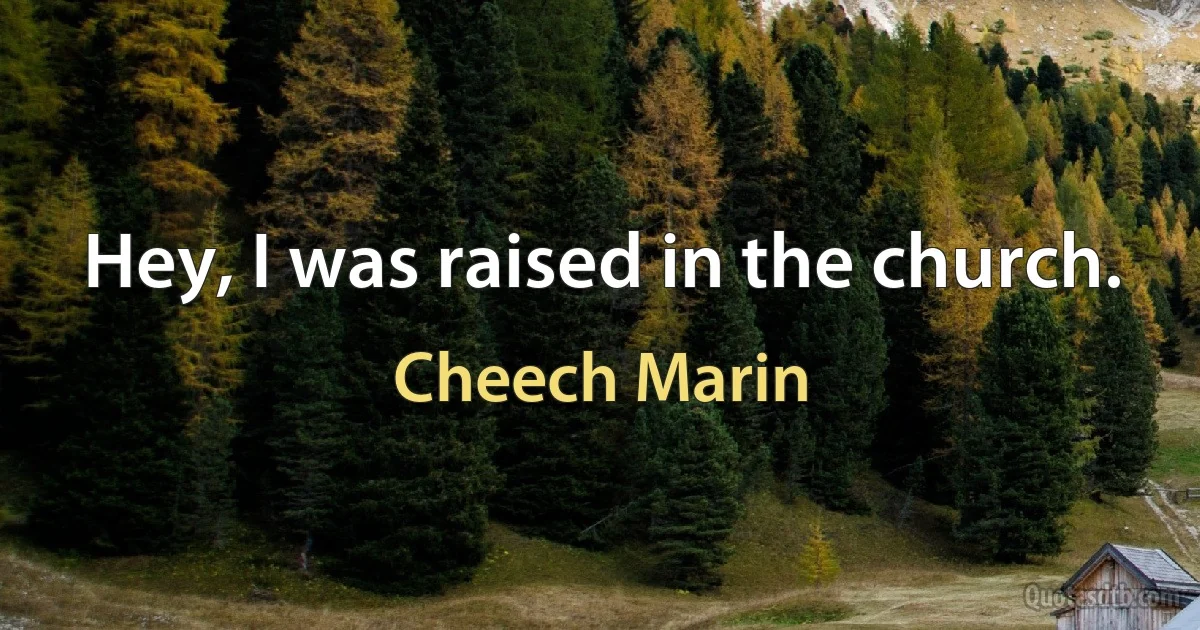 Hey, I was raised in the church. (Cheech Marin)