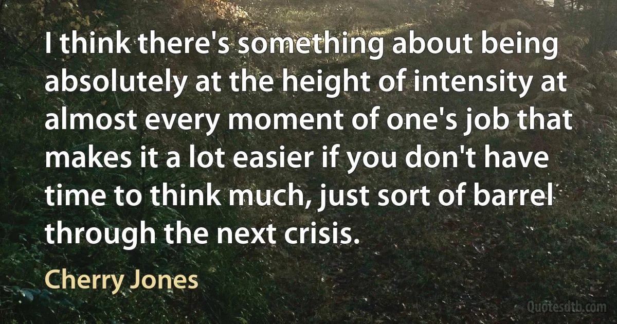 I think there's something about being absolutely at the height of intensity at almost every moment of one's job that makes it a lot easier if you don't have time to think much, just sort of barrel through the next crisis. (Cherry Jones)