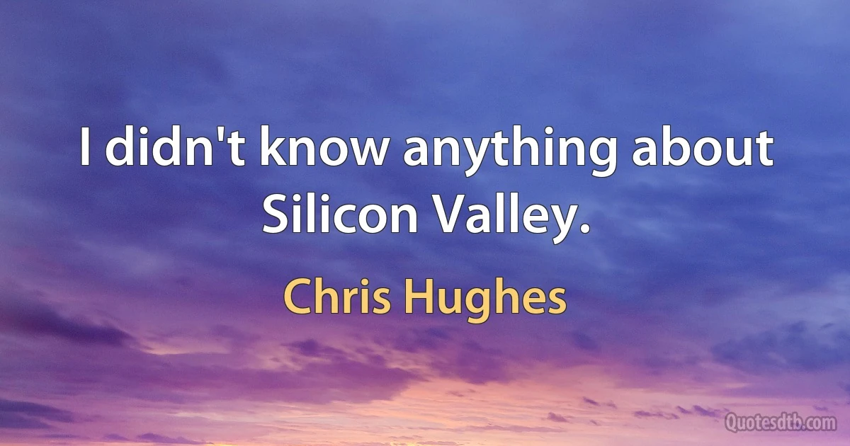 I didn't know anything about Silicon Valley. (Chris Hughes)